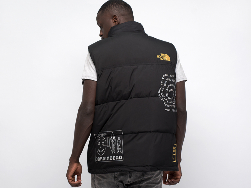 Жилет The North Face