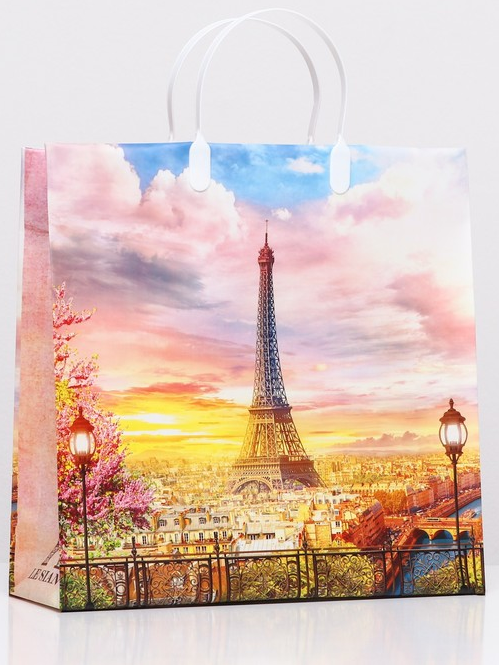 9640 Сумка пластик. BAM 169 (30x30см) средняя, Эйфелева башня. 20