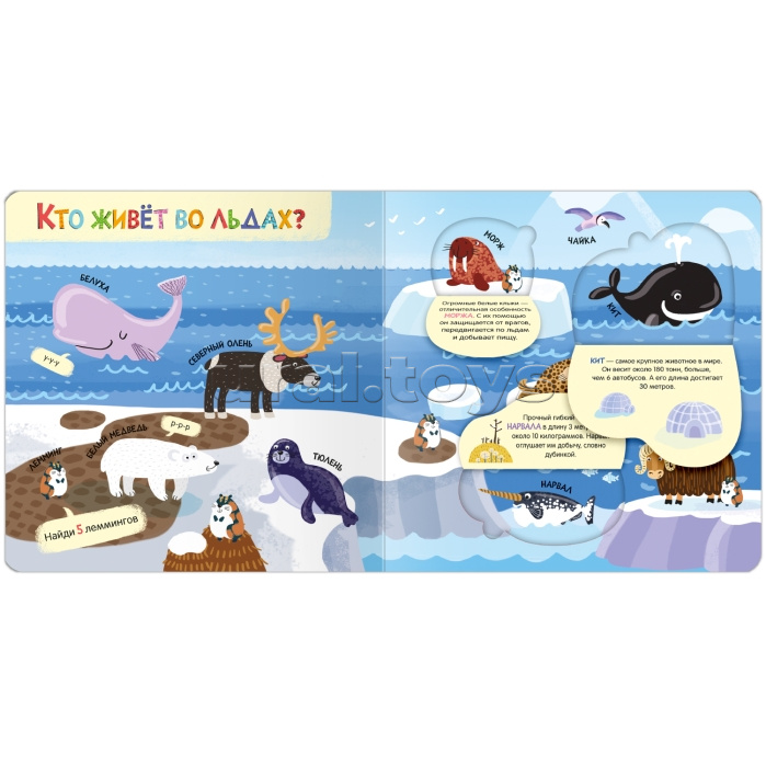 Книжки с окошками. Мир животных