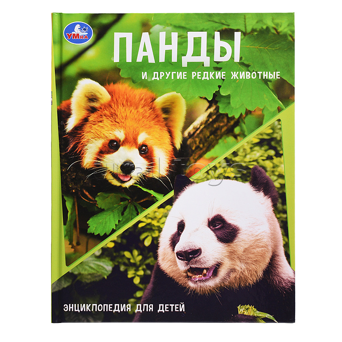 Энциклопедия с заданиями