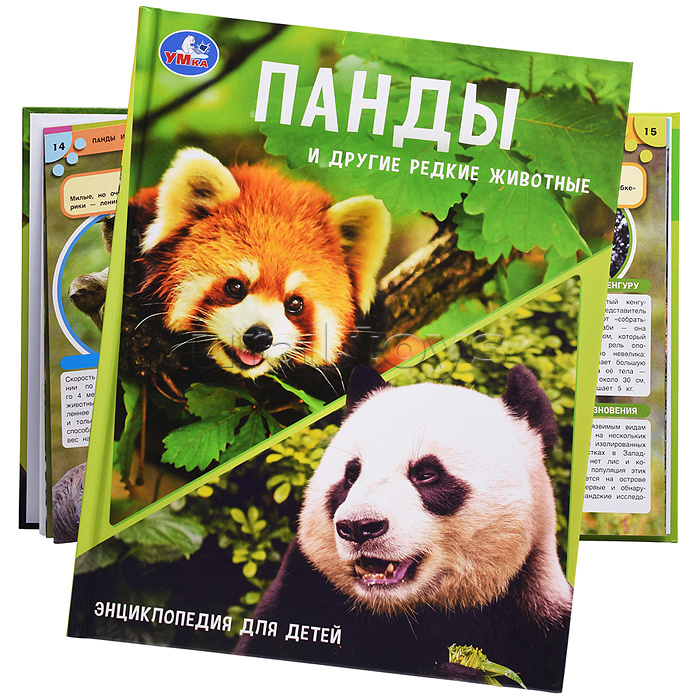 Энциклопедия с заданиями