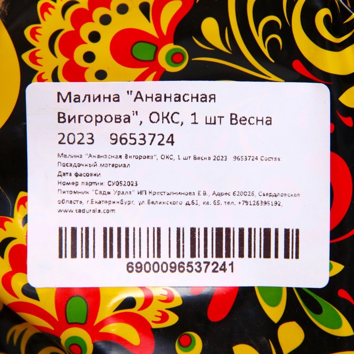 Саженец Малина (ОКС) Ананасная Вигорова, 1 шт, Осень 2025