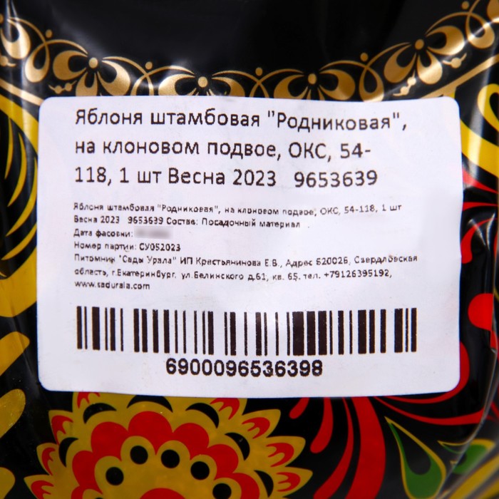 Саженец Яблоня штамбовая (на семенном подвое) ОКС Родниковая, 1 шт, Осень 2025