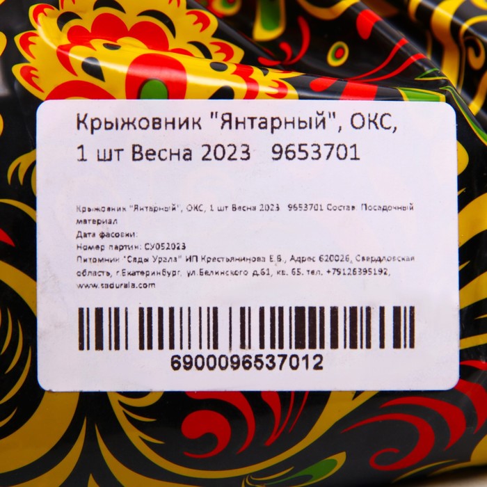 Саженец Крыжовник (ОКС) Янтарный, 1 шт, Осень 2025