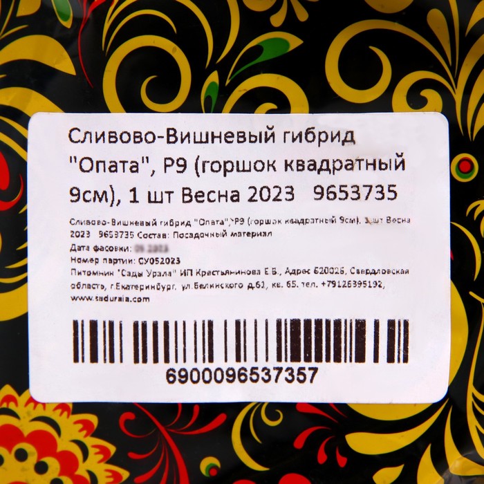 Саженец СВГ (горшок р9) Опата, 1 шт, Осень 2025