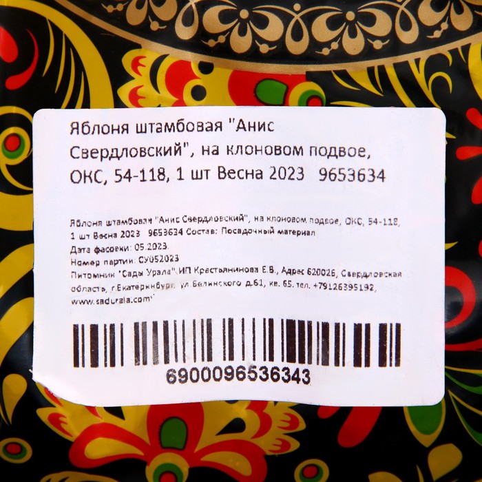 Саженец Яблоня штамбовая (на семенном подвое) ОКС Анис Свердловский, 1 шт, Осень 2025