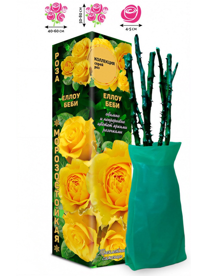 Саженец Роза спрей «Еллоу Беби», 1 шт., Весна 2026