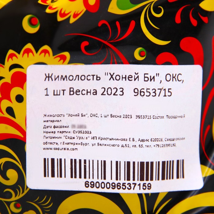 Саженец Жимолость (ОКС) Хоней би, 1 шт, Осень 2025