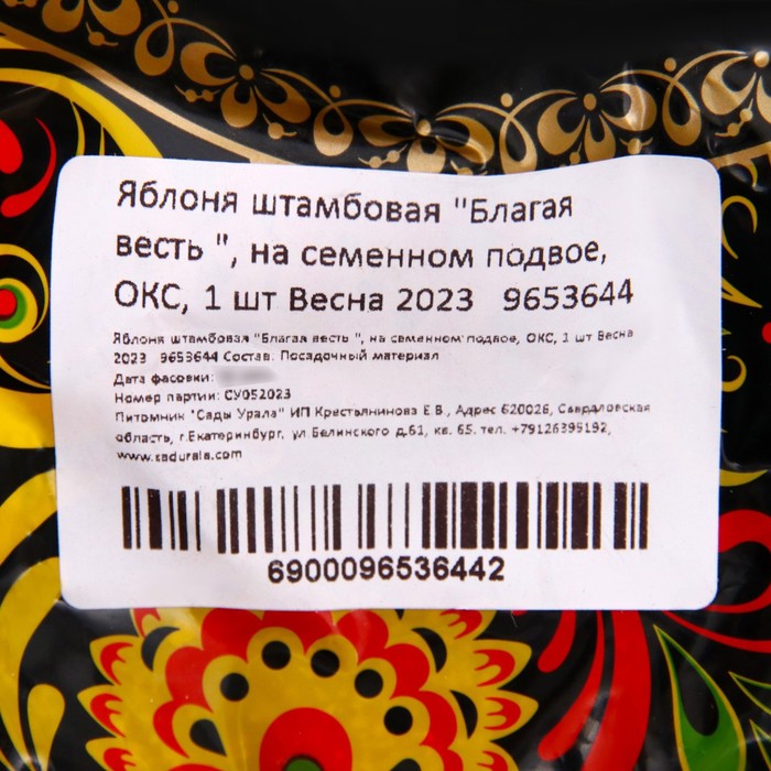 Саженец Яблоня штамбовая (на семенном подвое) ОКС Благая весть, 1 шт, Осень 2025