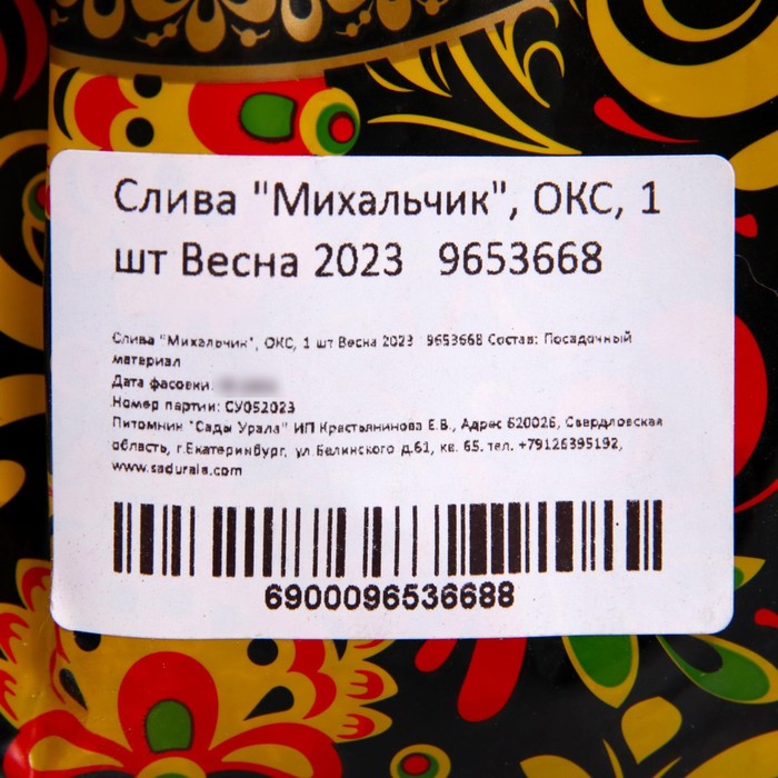 Саженец Слива привитая (ОКС) Михальчик, 1 шт, Осень 2025