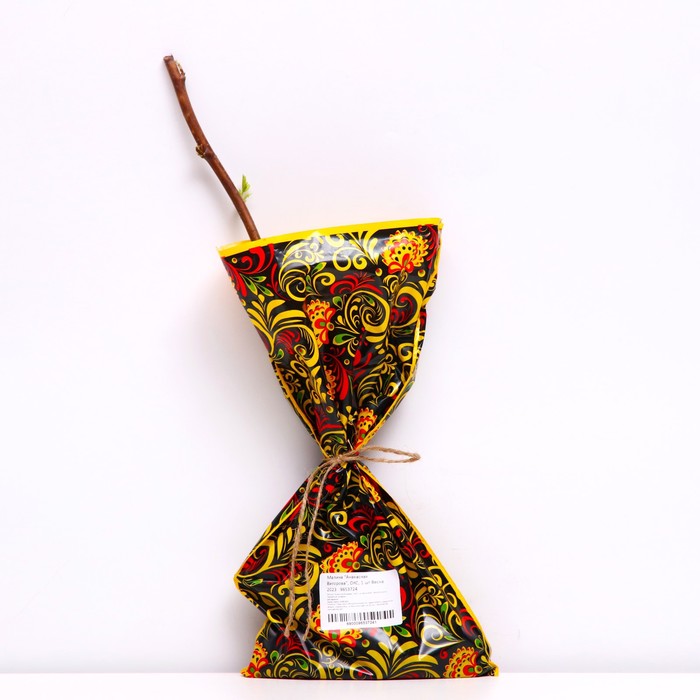 Саженец Малина (ОКС) Ананасная Вигорова, 1 шт, Осень 2025