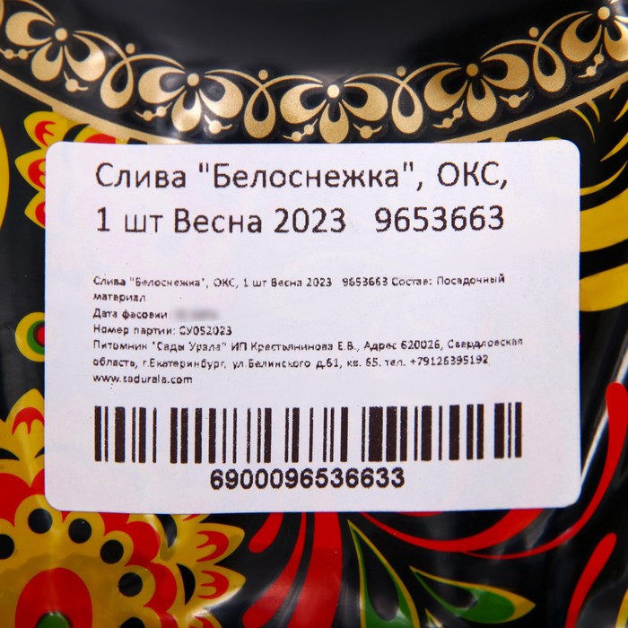 Саженец Слива привитая (ОКС) Белоснежка (Уральская серебристая), 1 шт, Осень 2025