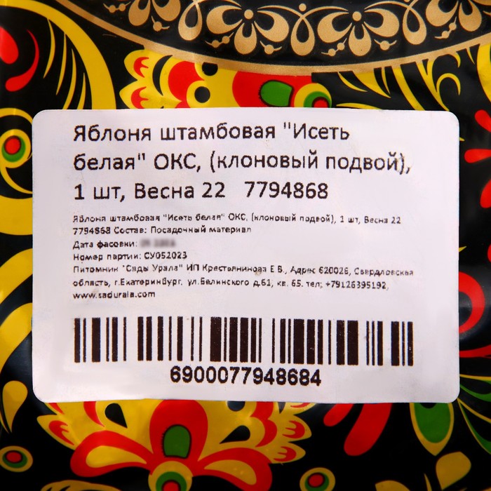 Саженец Яблоня штамбовая (на семенном подвое) ОКС Исеть белая, 1 шт, Осень 2025