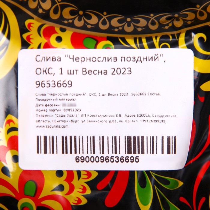 Саженец Слива привитая (ОКС) Чернослив ранний (Сапфир), 1 шт, Осень 2025