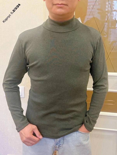 Водолазка мужская