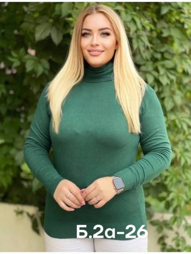Водолазка женская