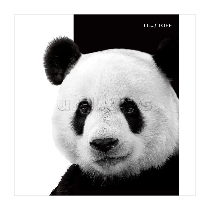 Тетрадь 48л.