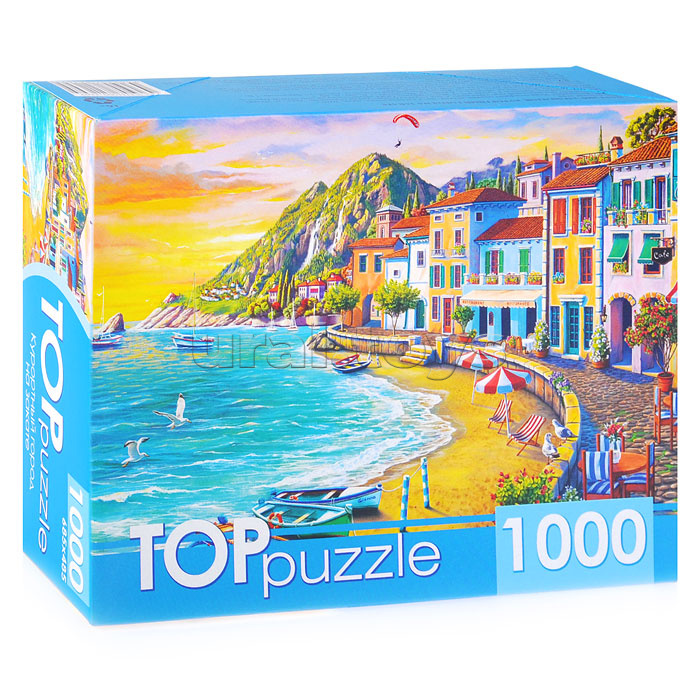 Пазлы 1000 TOPpuzzle
