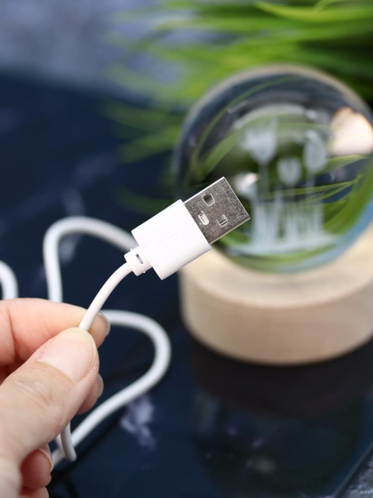 Ночник 3D iLikeGift «Tulips» (6 см)