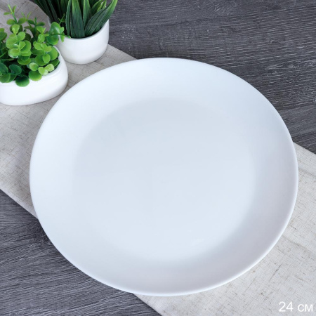 Тарелка обеденная 240 мм Евро Дэй белая / YGP-95 (white) /уп 36/