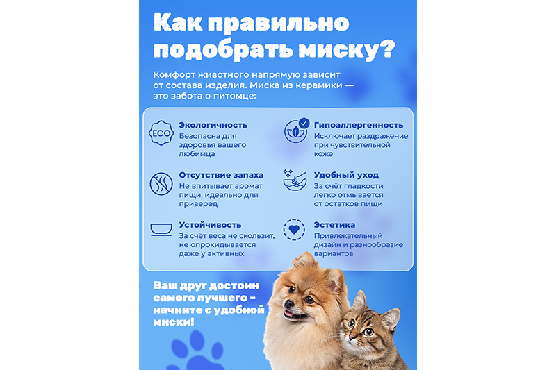 Миска для домашних питомцев 250 мл 15*13*4,5 см