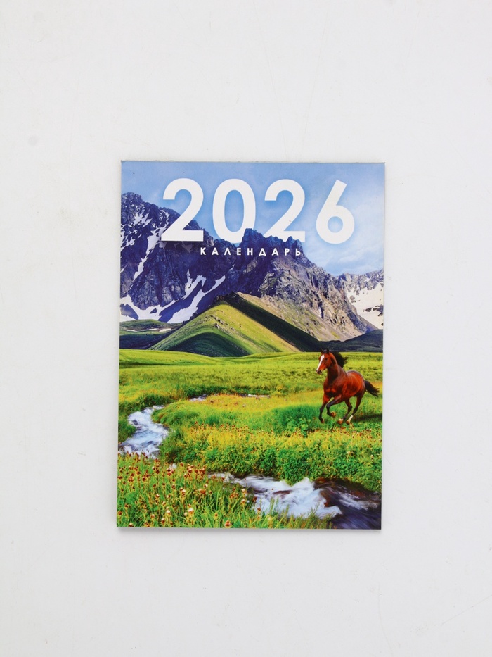 Календарь отрывной на магните «2026» 9.5×13 см
