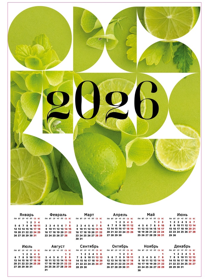 Календарь настенный «Лайм 2026», А2