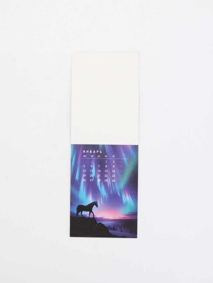 Календарь отрывной на магните «2026» 9.5×13 см