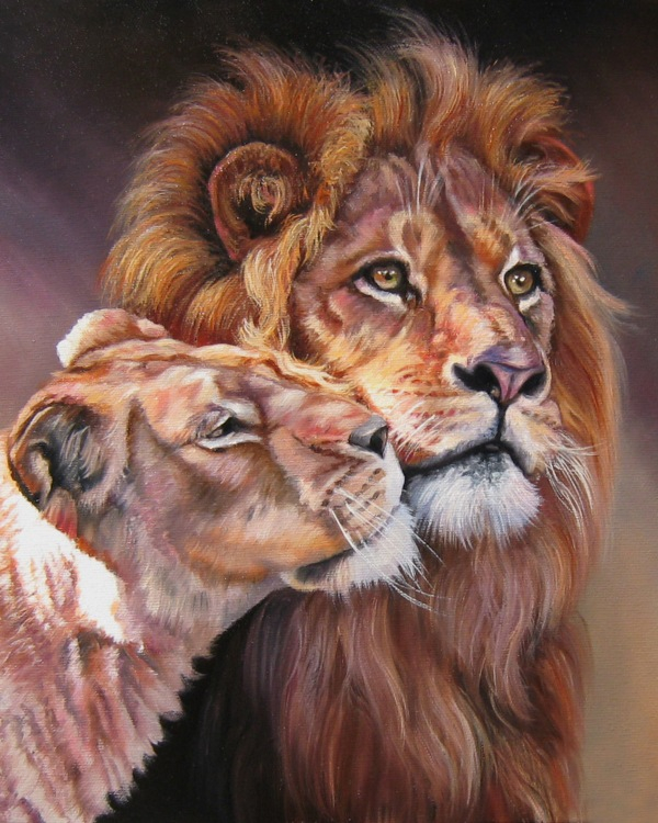 Картина по номерам на холсте и подрамнике 40х50 см