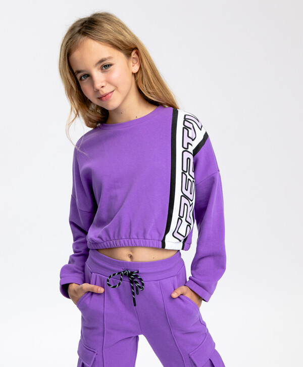 665 р. 1330 р. Толстовка укороченная фиолетовая Button Blue