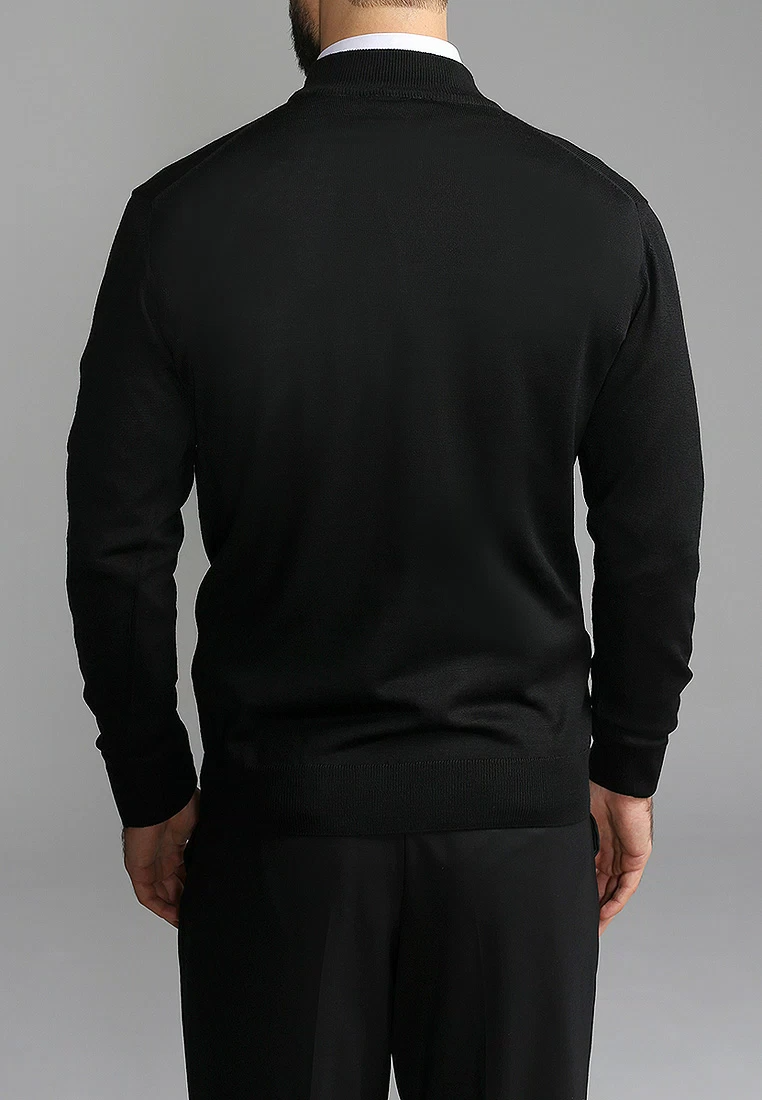 Джемпер мужской GREG G122-EV (черный)