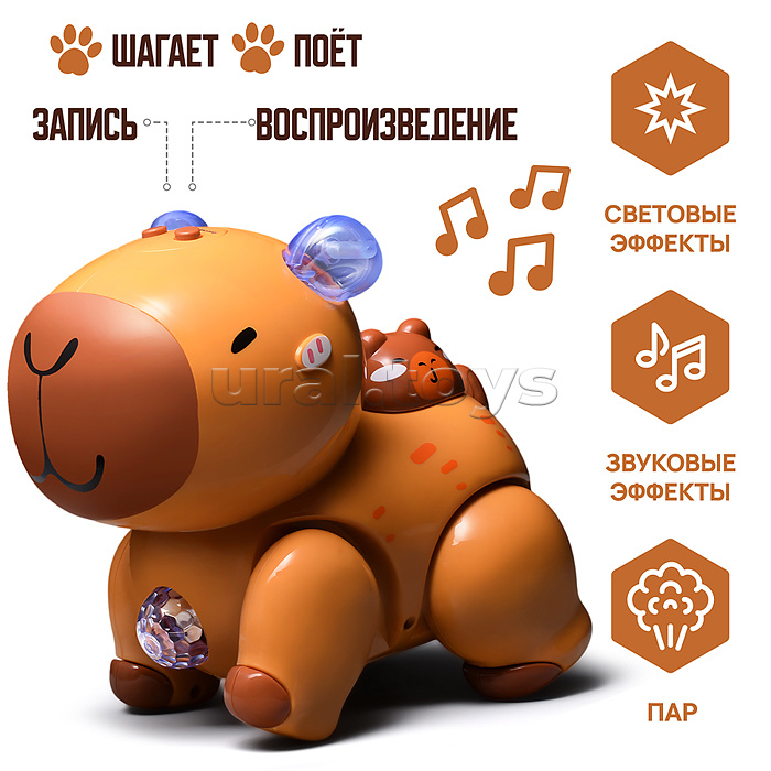 Капибара (звукозапись, спрей) в коробке