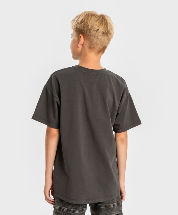 720 р.  900 р.  Футболка с коротким рукавом и принтом серая для мальчика Button Blue