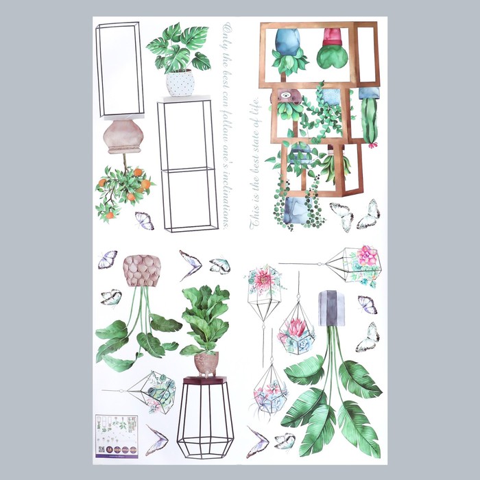 Наклейка интерьерная цветная «Комнатные растения и флорариумы», 60×90 см