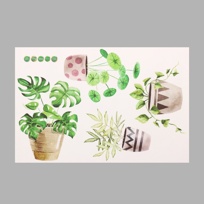 Наклейка интерьерная цветная «Комнатные цветы», пластик, 40×60 см