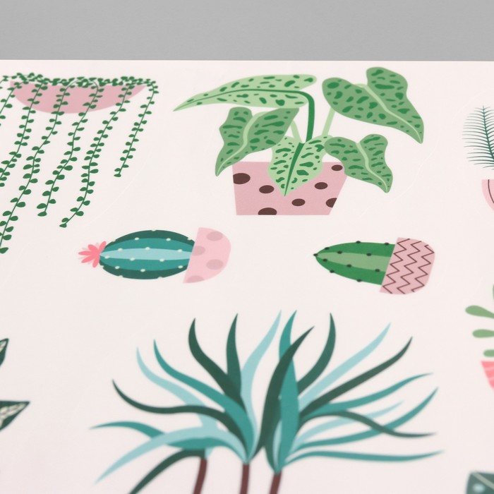 Наклейка интерьерная цветная «Комнатные растения», пластик, 40×60 см