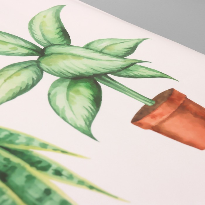Наклейка интерьерная цветная «Домашние растения», пластик, 40×60 см