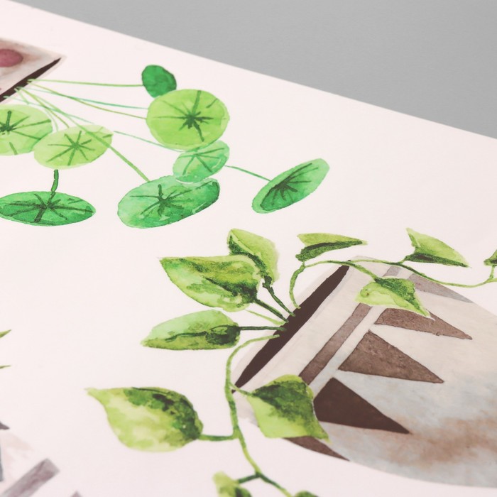 Наклейка интерьерная цветная «Комнатные цветы», пластик, 40×60 см