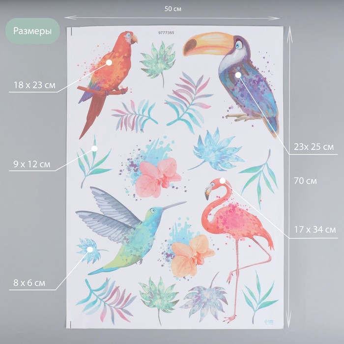 Наклейка интерьерная цветная «Экзотические птицы. Акварель», декор на стену, 50×70 см