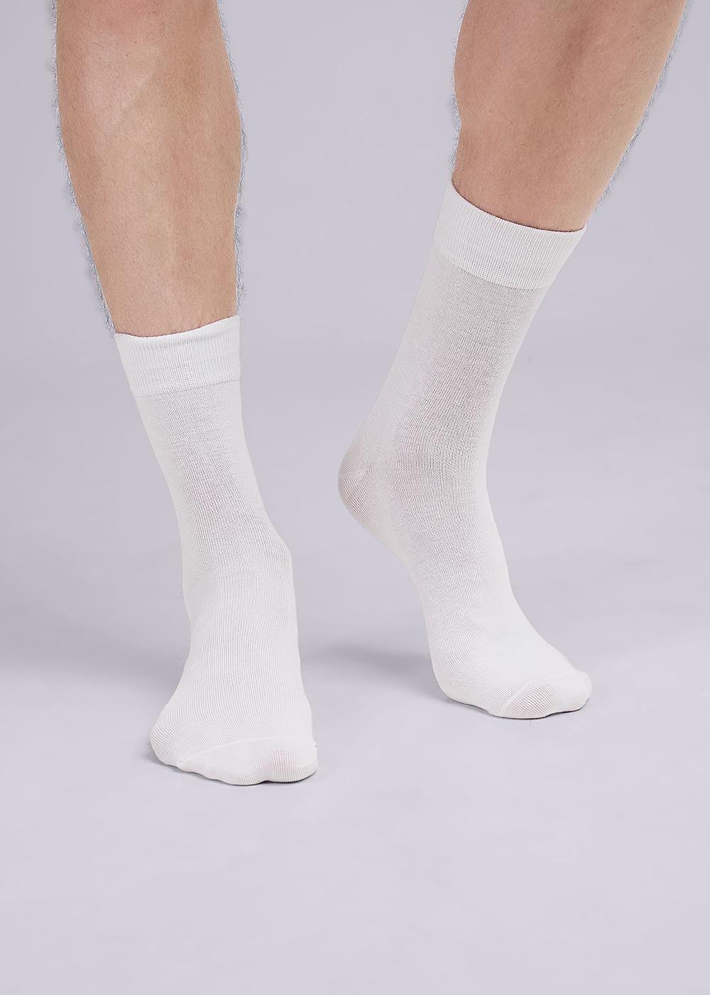 CLE Носки муж.S312П спорт база плюш