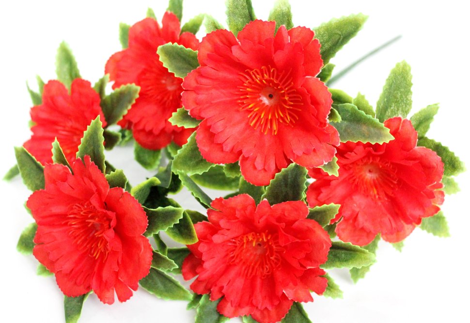 Б11956 Букет георгин 6 гол.