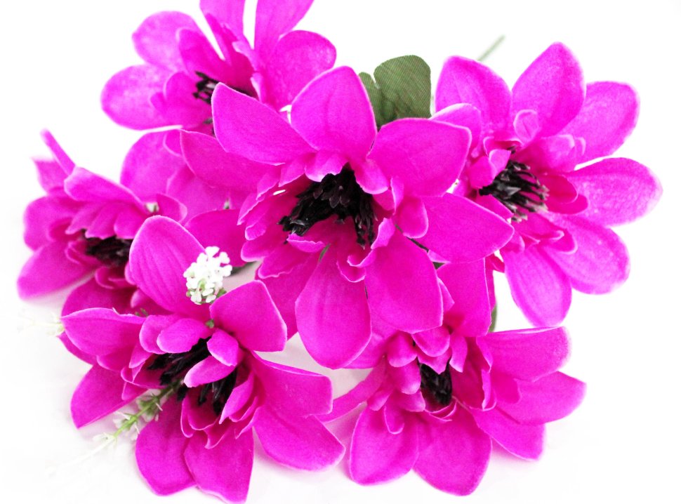 Б11954 Б/С Букет георгин 6гол.