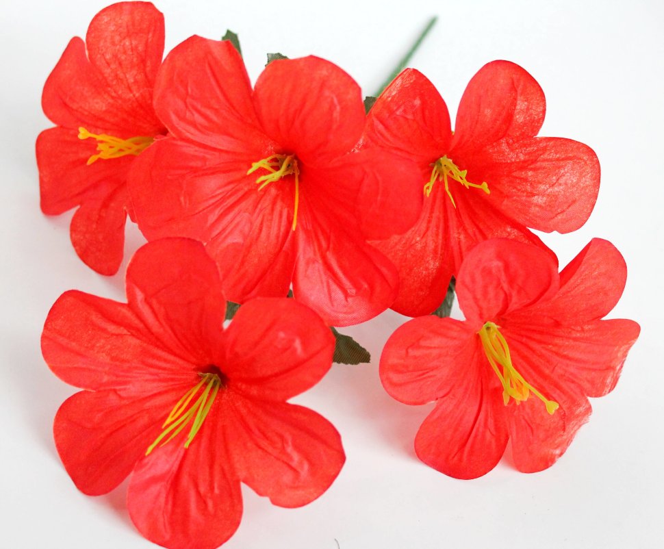 Б11995 Букет колокольчик 5г.