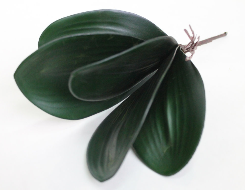 Д9569 Б/С Корешки орхидей Н26см(20шт)