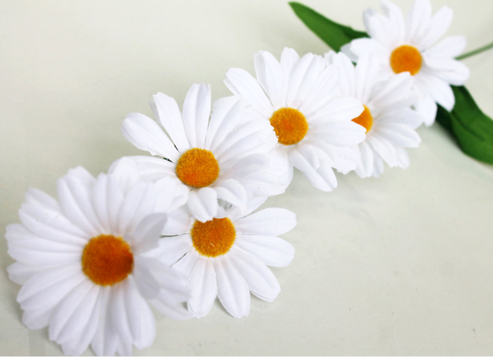 В7922 Вет.6 г.крупных ромашек нивяник Н60см(100шт)