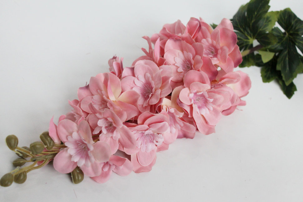 О10324 Б/С Дельфиниум гибридн.