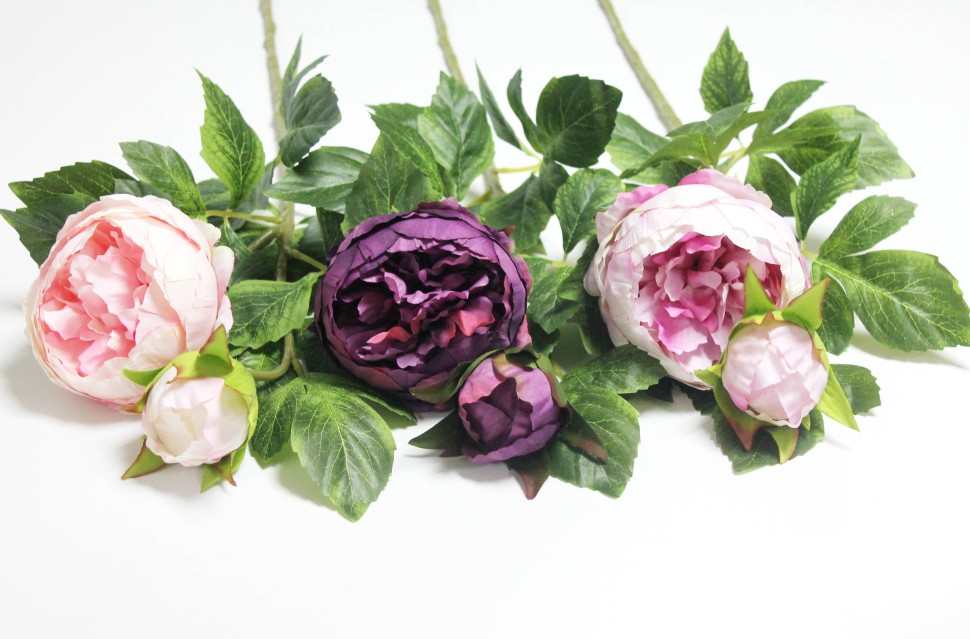 В12171 Б/С Ветка пиона 2гол.