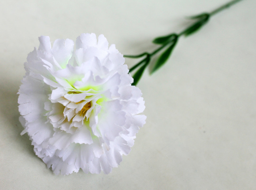 О7825 Б/С Гвоздика один.высокой и толстой ноге Н65см(20шт)