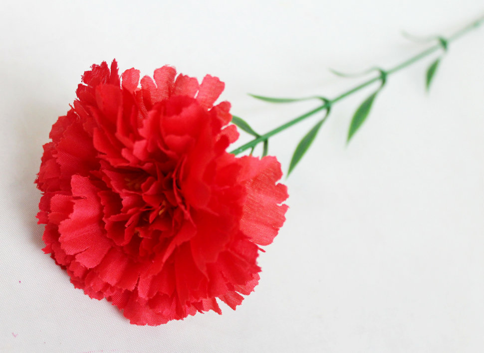 О7825 Б/С Гвоздика один.высокой и толстой ноге Н65см(20шт)