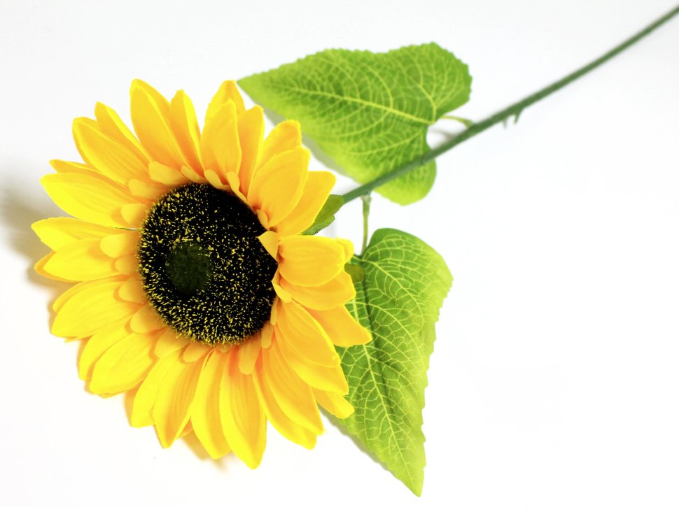 К ВЫКУПУ! О12013 Б/С Подсолнух одиночный 67см(12шт)